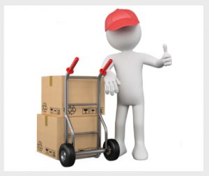 خرید پودر سوخاری گلها