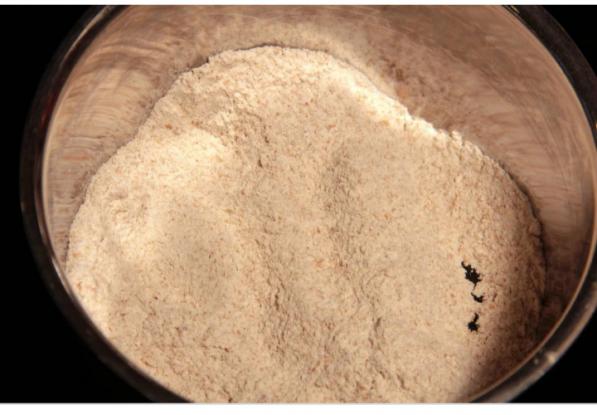 تجارت آرد سوخاری ارزان قیمت ایرانی