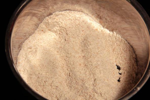 راه های تشخیص مرغوب ترین پودر سوخاری ریز دانه از نظر قیمت